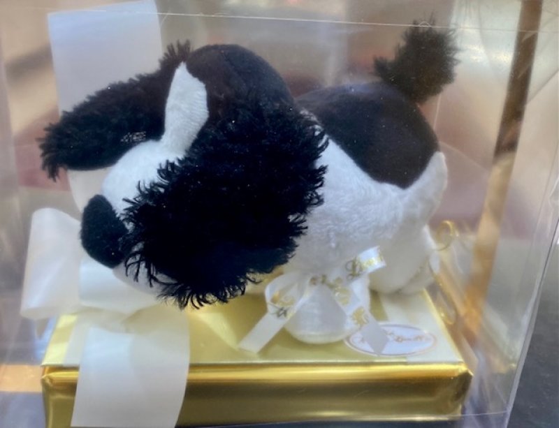 Perrito bebe Rollie decorado