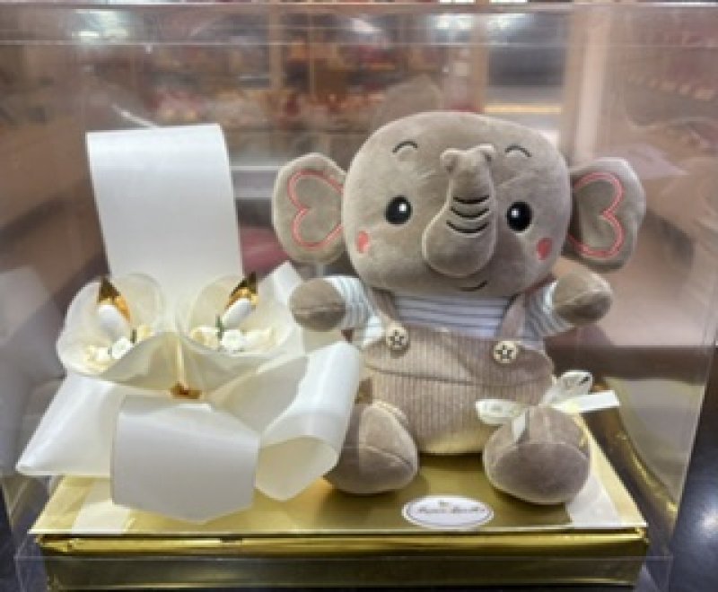 Bebe elefante decorado